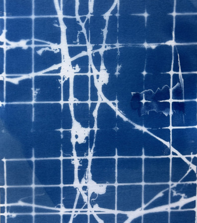 white vines moving across a grid of small blue squares